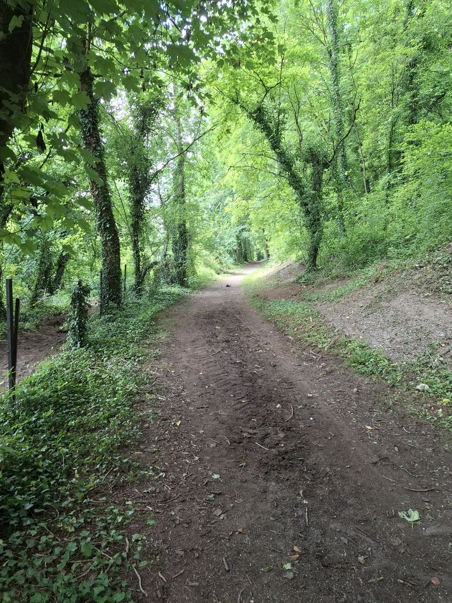 prachtig fietspad richting Verdun
