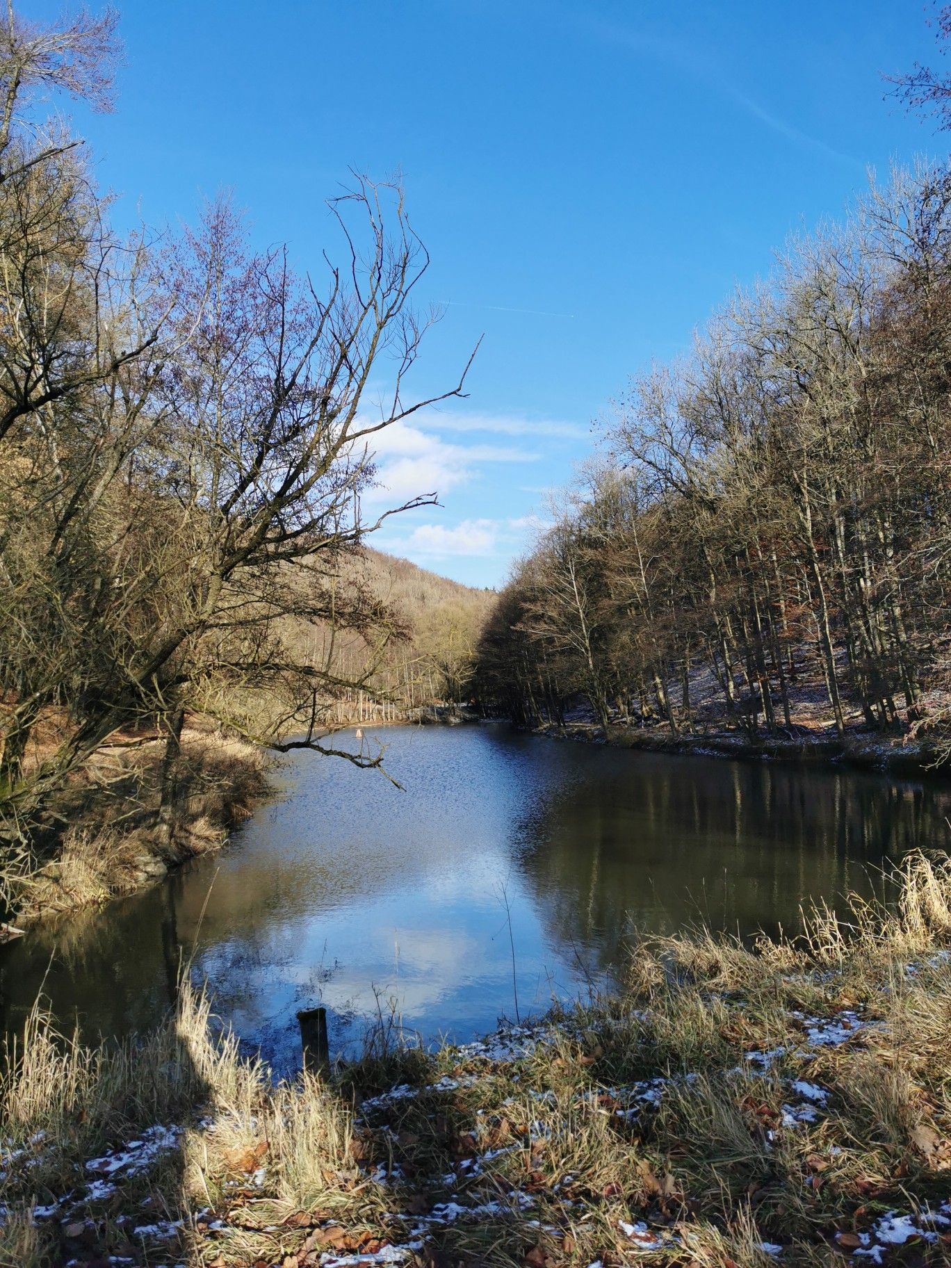 Am weiher