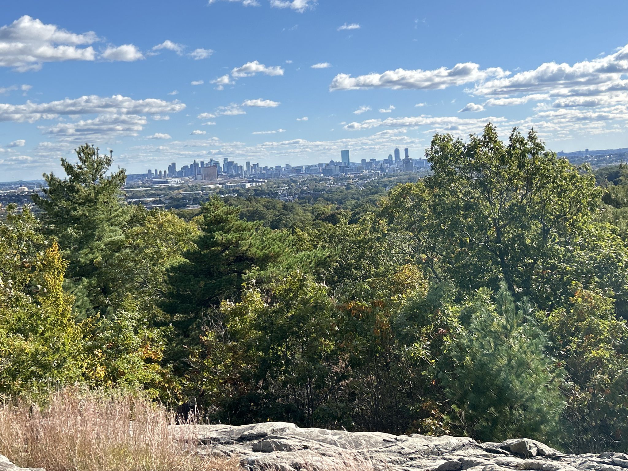 A distant city skyline rises above a lush green forest under a cloudy sky. - Spot Pond loop from Wright's Pond