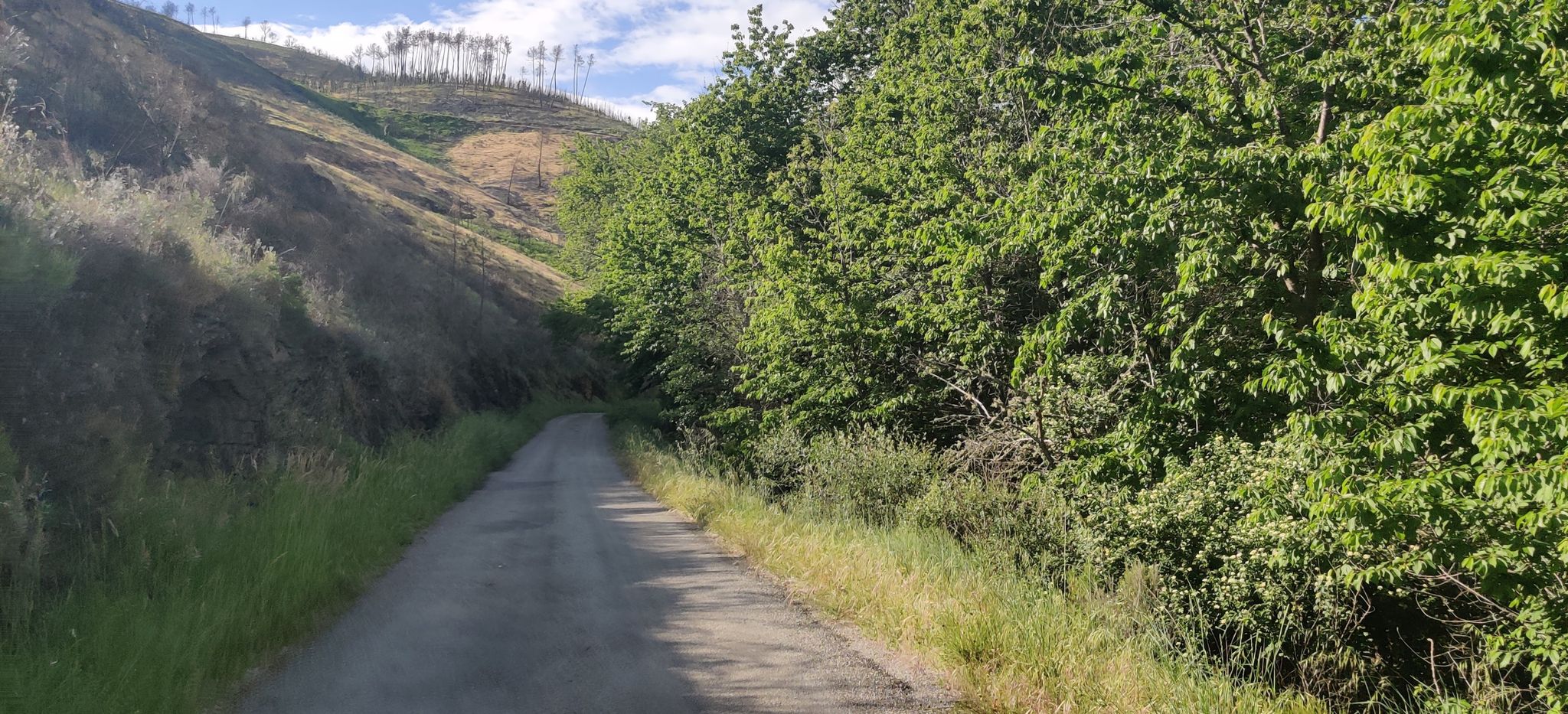 wunderschöner Weg über Kilometer am Fluss/Bach entlang