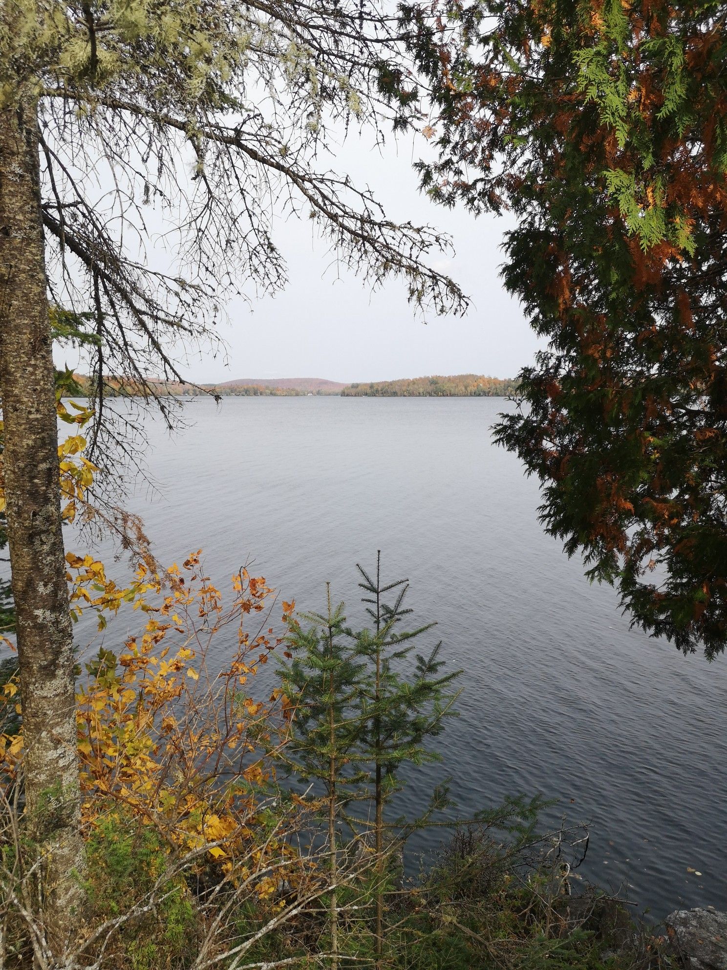lac des barge