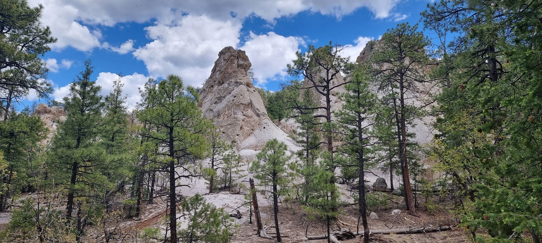Tall rock formation surrounded by green pine trees under a partly cloudy sky. - Bonanza Bill Trail