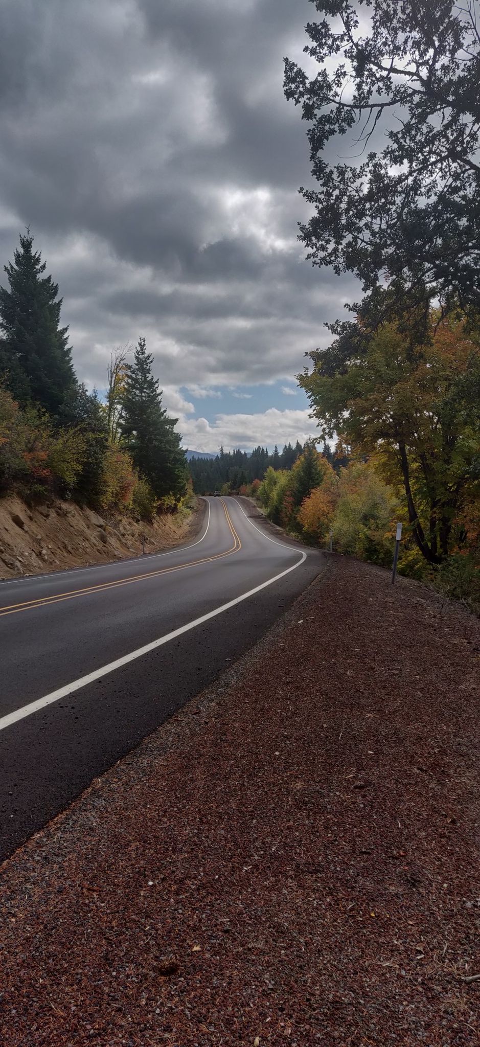 Winding road through autumn trees under an overcast sky. - Dee Highway and Mt Hood Highway loop