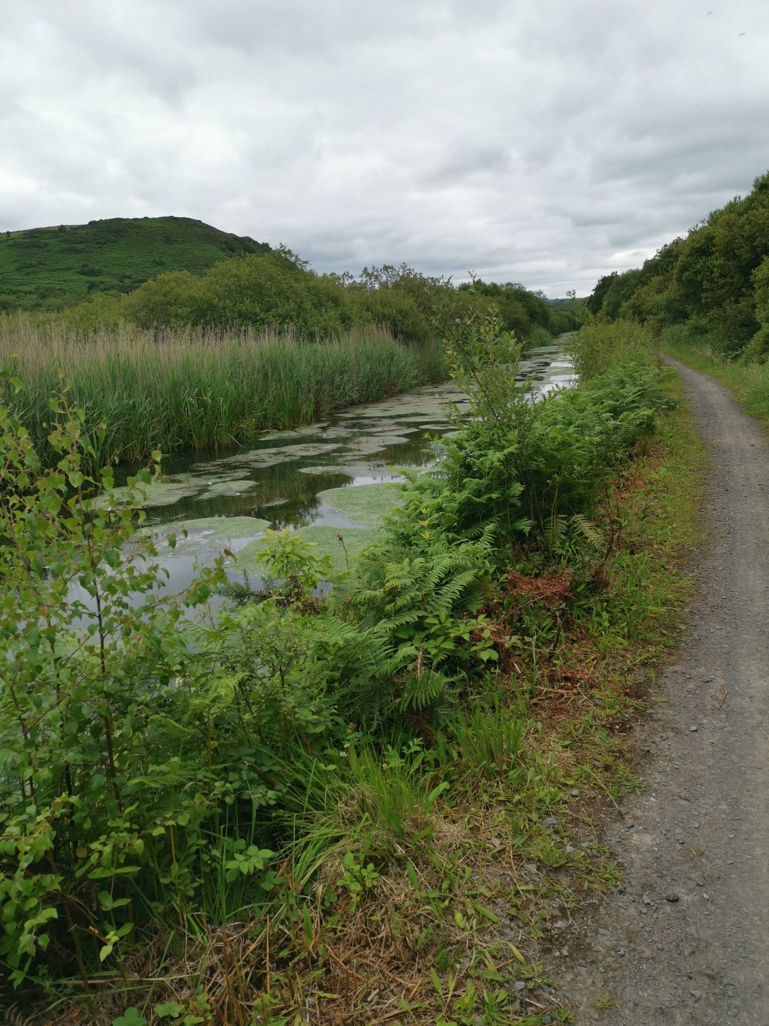 Neath canal