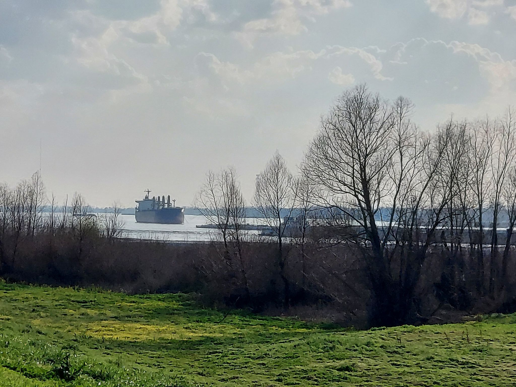 Large cargo ship on wide water, framed by green grass and bare trees. - Capitol Lake to University Lake loop