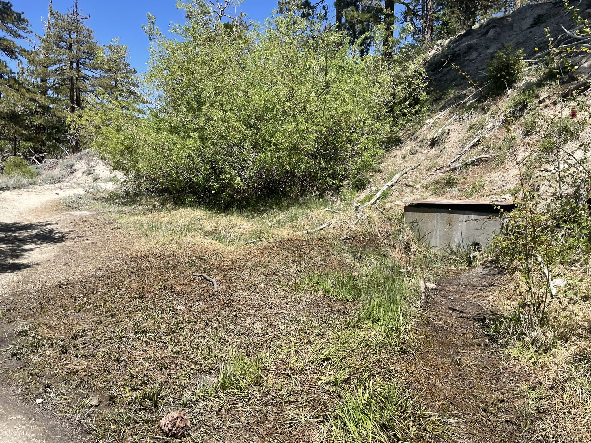 Sunny dirt path leading to green bushes and a concrete structure. - Pacific Crest Trail and Silver Moccasin Trail