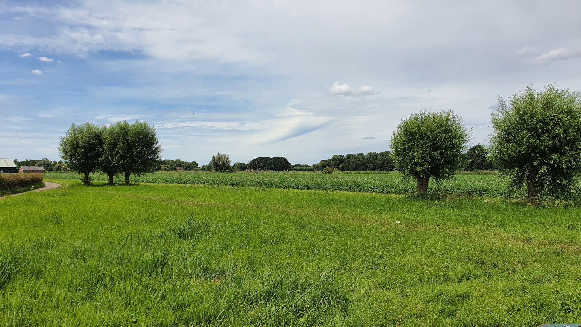 Blik richting Westmaas