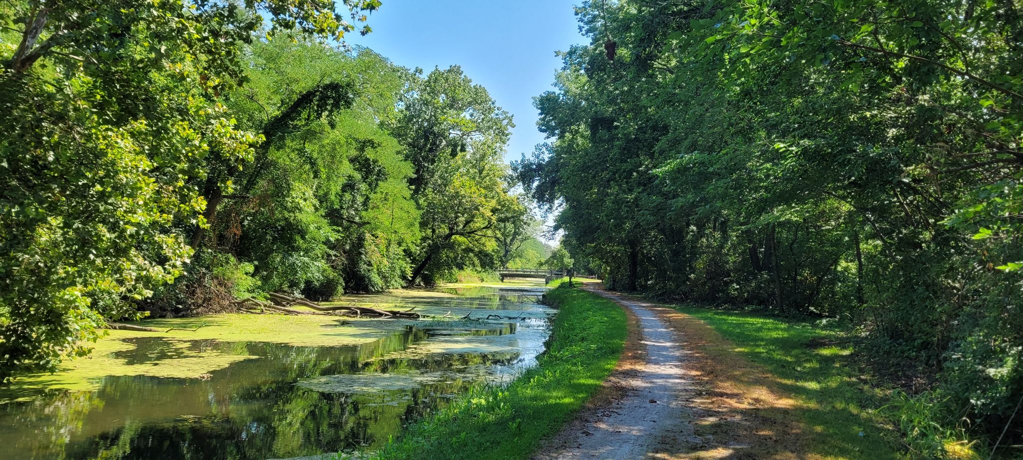 Sunny dirt path beside a green canal, bordered by dense, vibrant trees. - Bike loop from Morris