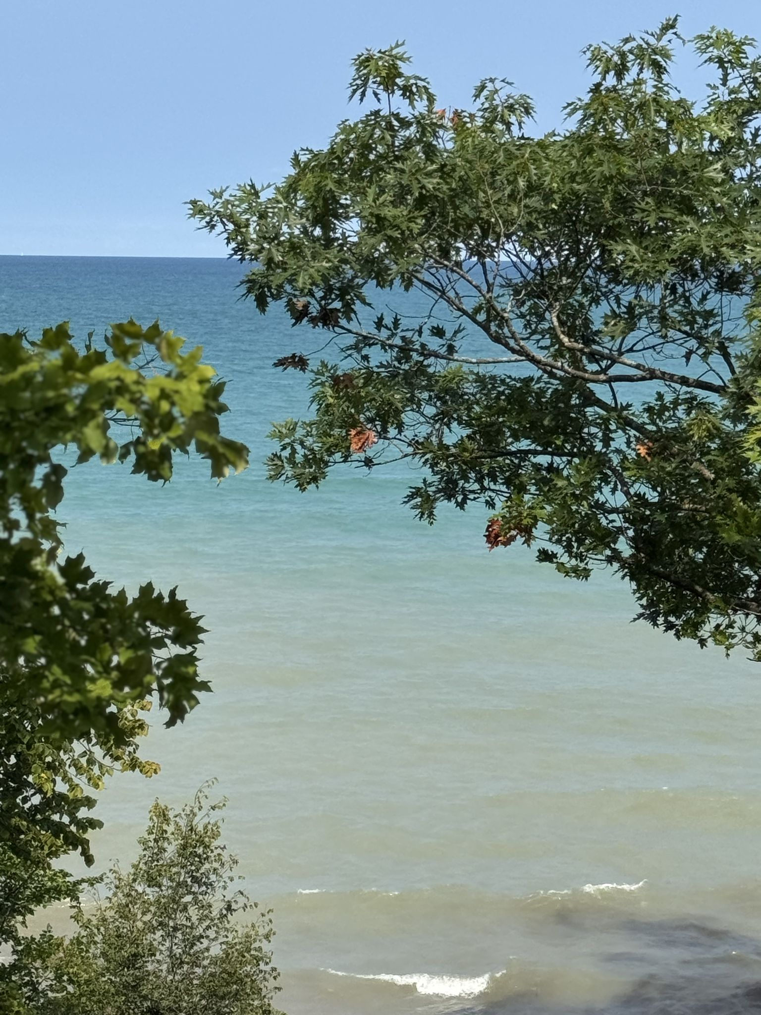 Bright blue-green water seen through lush green tree branches. - Openlands Open Space