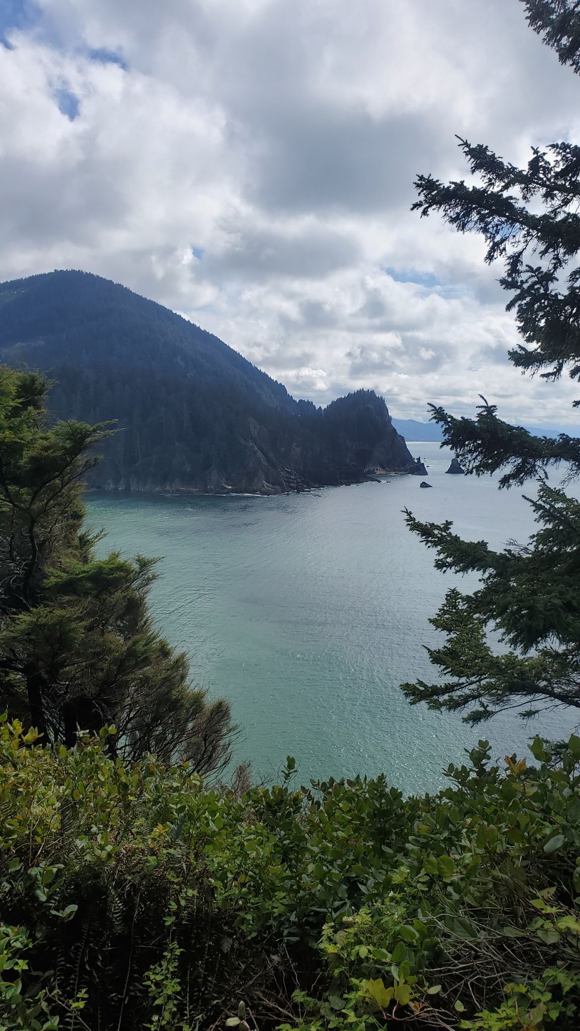 Forested mountains meet calm ocean water under a cloudy sky, framed by trees. - Coastline View – Short Sand Beach loop from Oswald West State Park
