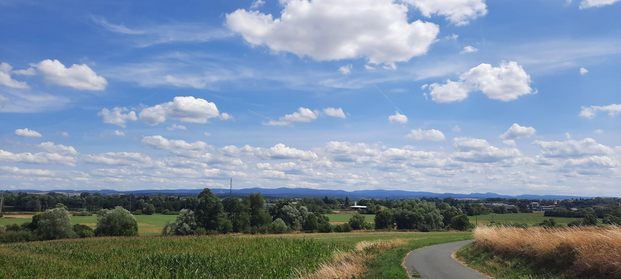 Blick auf die Vogesen