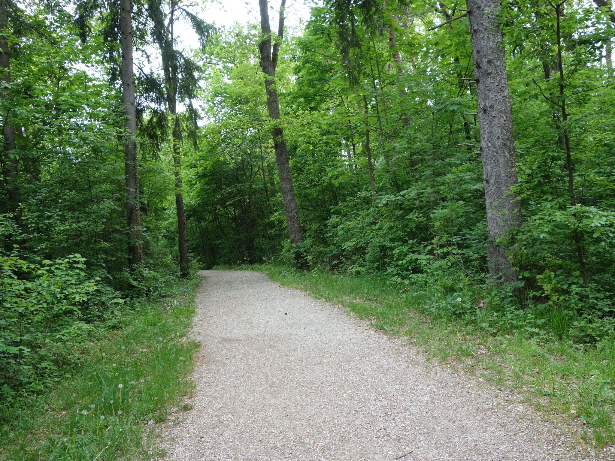 Klausenweg
