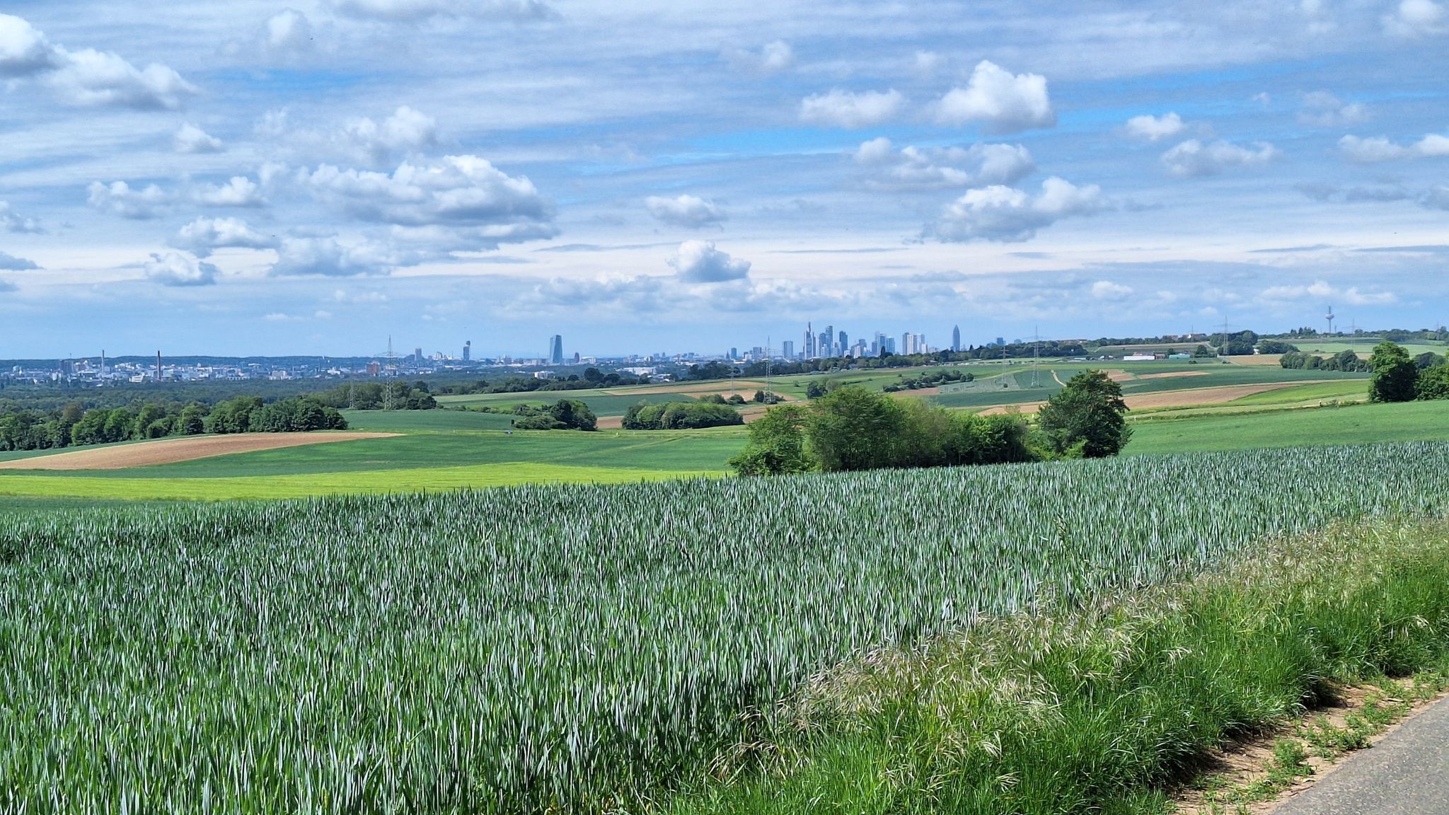 Frankfurter Skyline