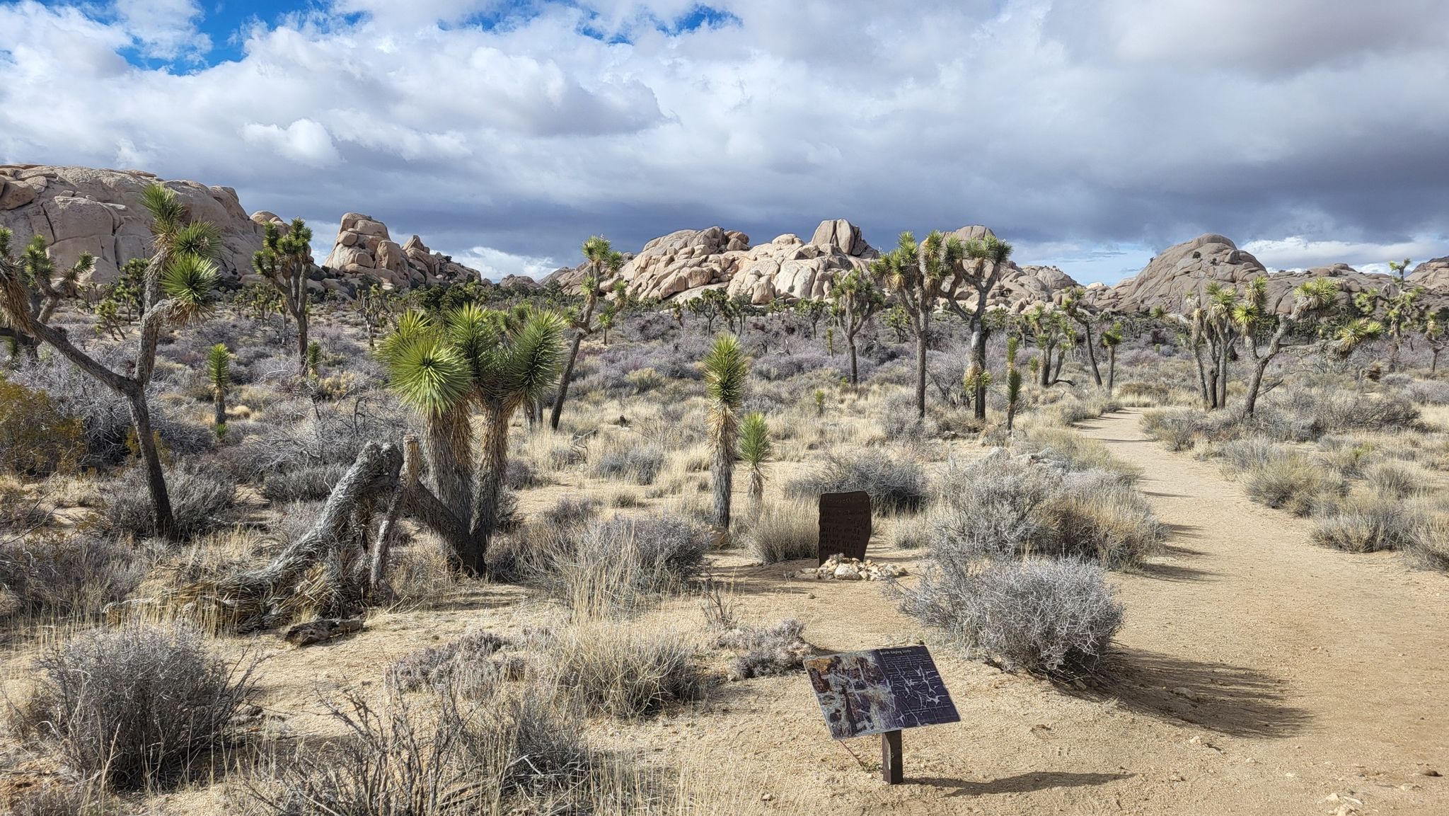 Desert landscape with Joshua trees, rock formations, and a dirt path under cloudy skies. - Wall Street Mill Trail