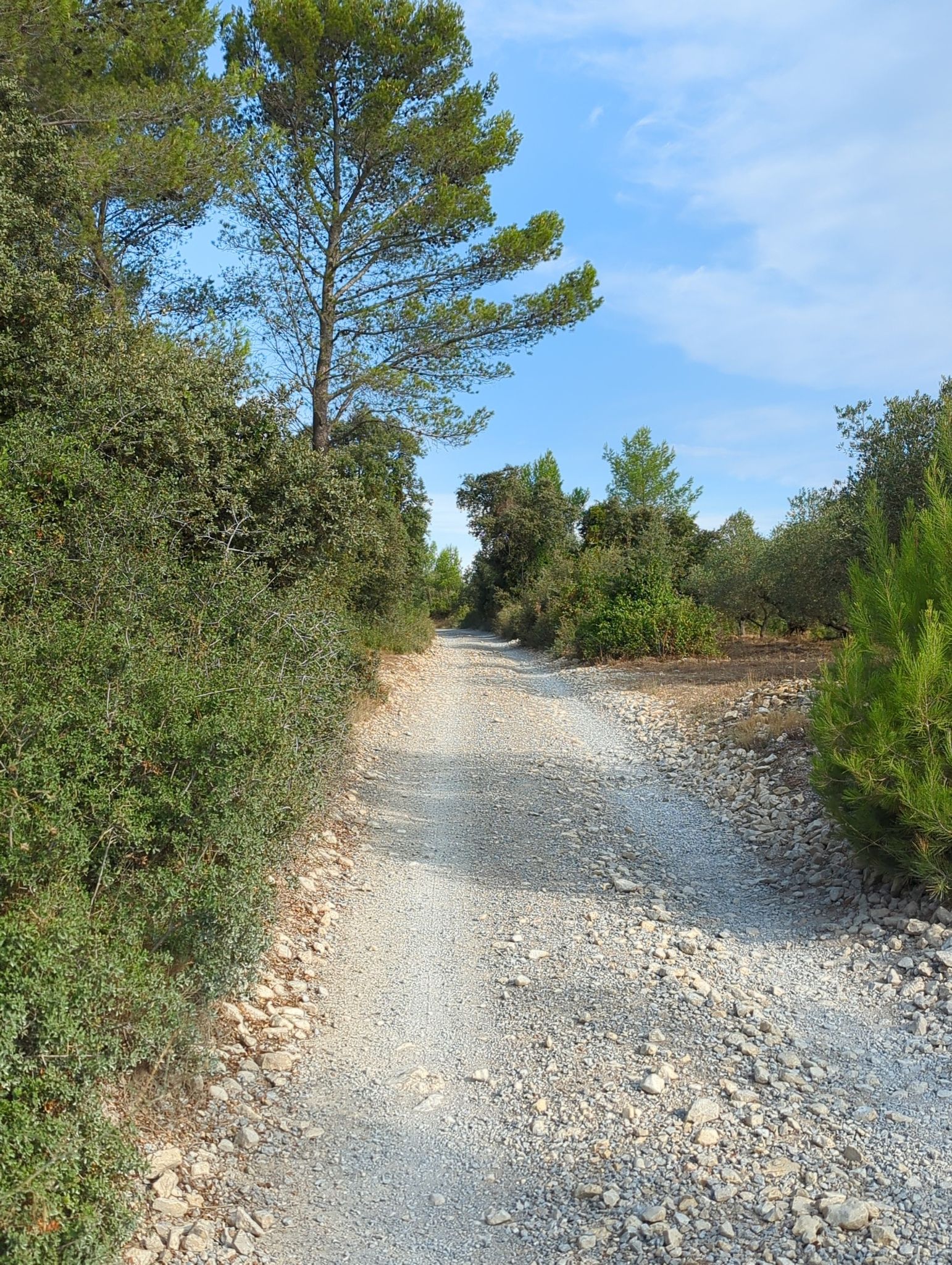 Chemin classique pour débuter