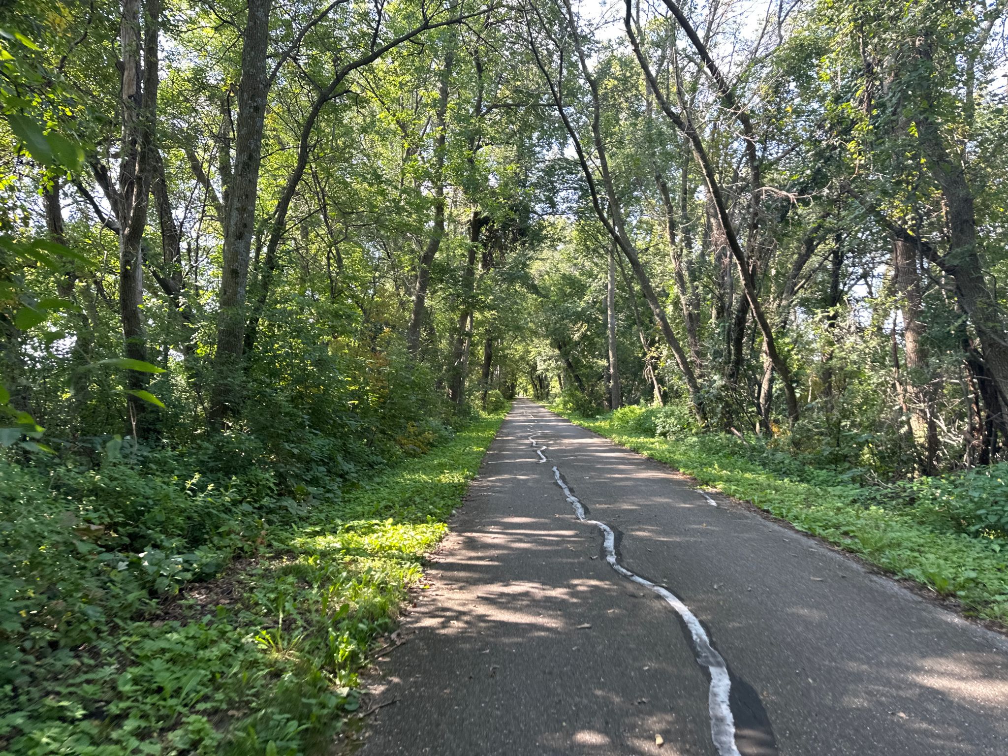 Paved path winding through a lush green forest on a sunny day. - Cannon Lake beach – Cannon Lake loop from Faribault