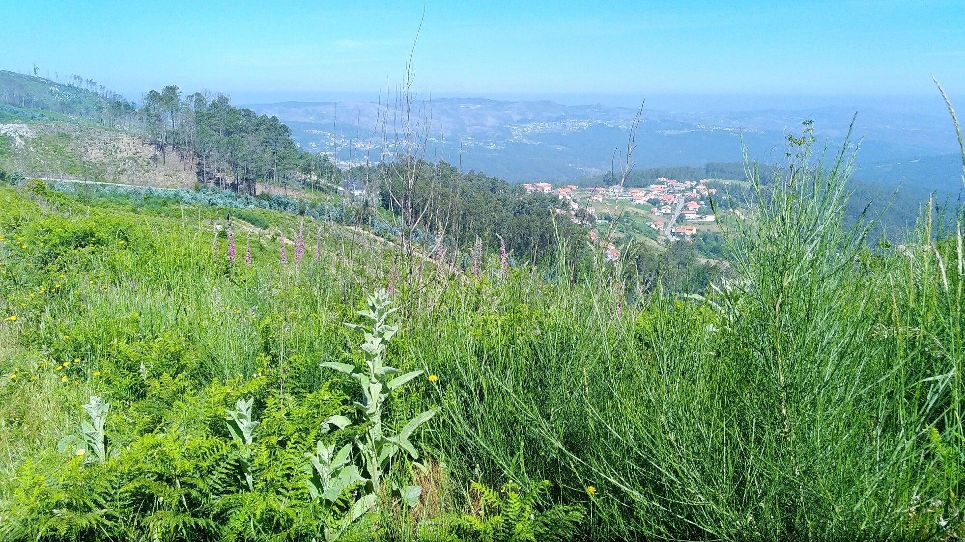 Serra da Freita