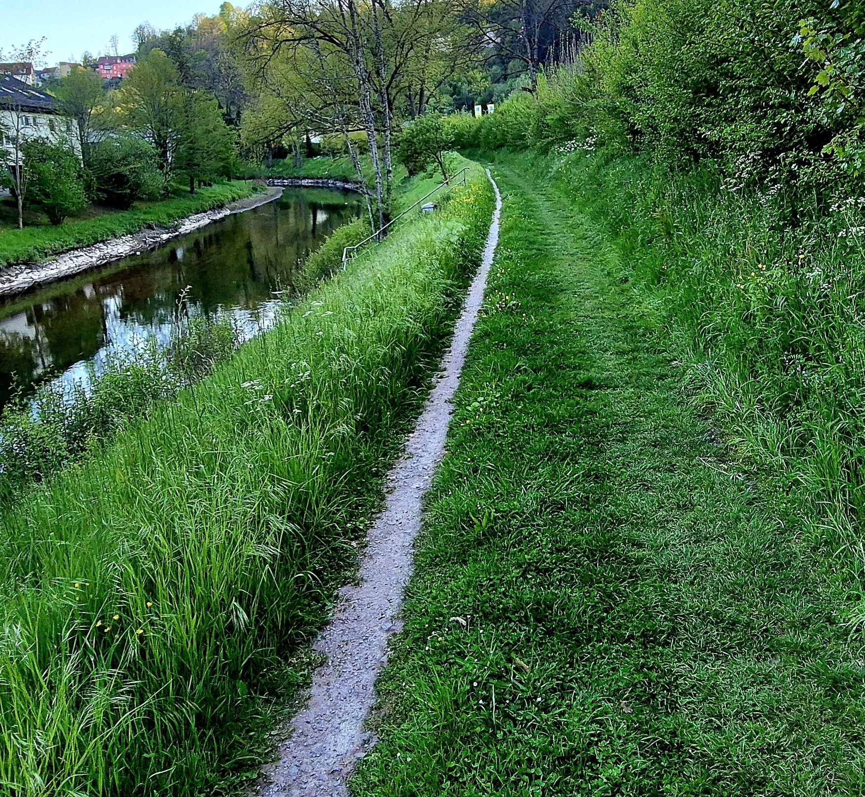 entlang der Nagold nach Wildberg