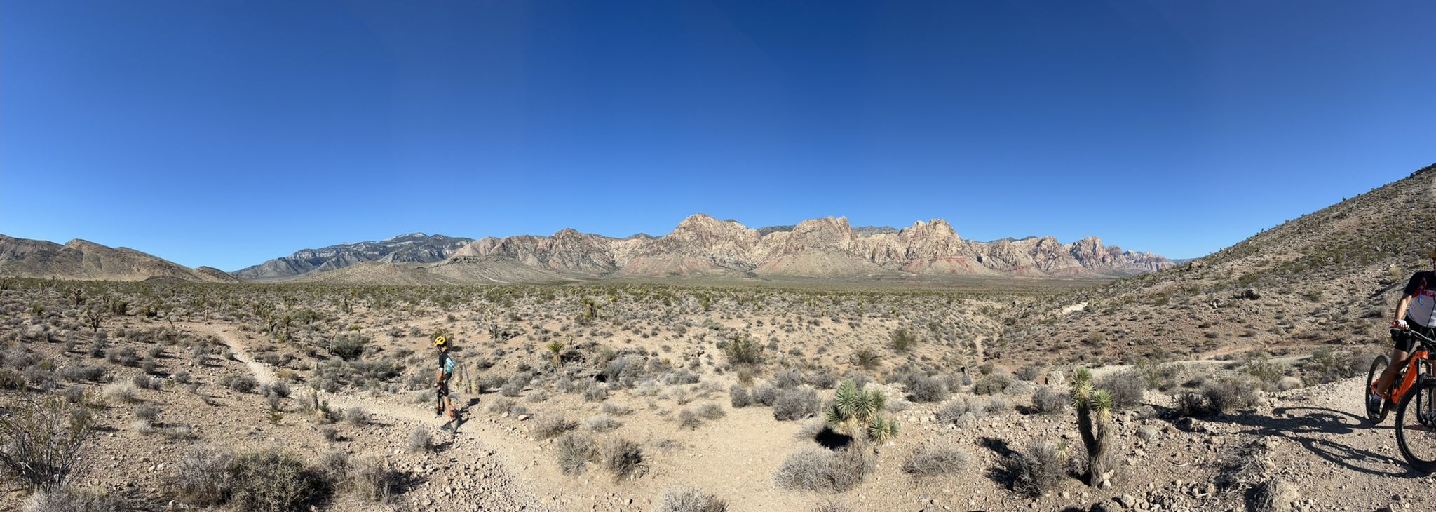 Panoramic view of two people mountain biking on a desert trail with vast mountains. - Cactus Slalom