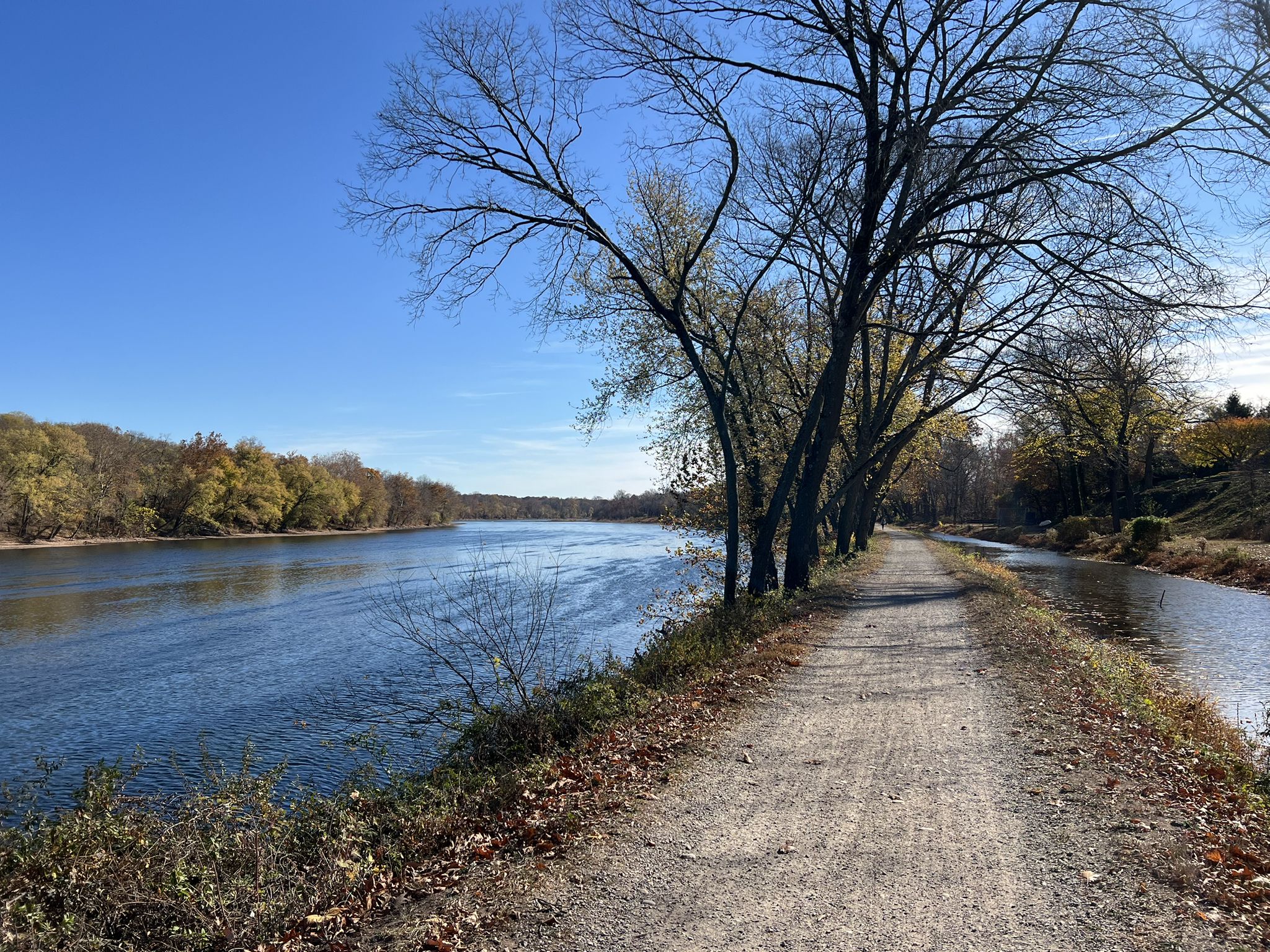 Wide river next to a dirt path lined with trees under a bright blue sky. - View of the Delaware River – New Hope loop from Yardley