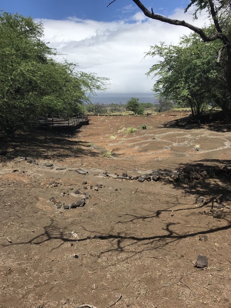 Dry, rocky landscape with sparse trees, leading to a distant ocean under a cloudy sky. - Petroglyph Trail
