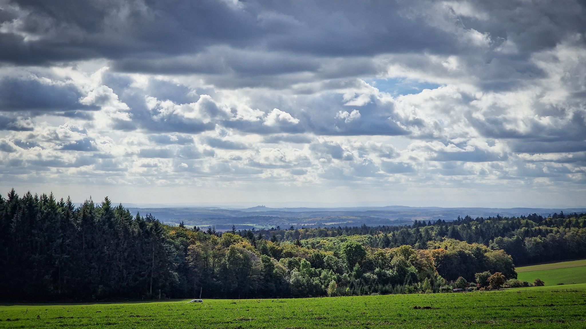 Aussicht bei Schwanheim