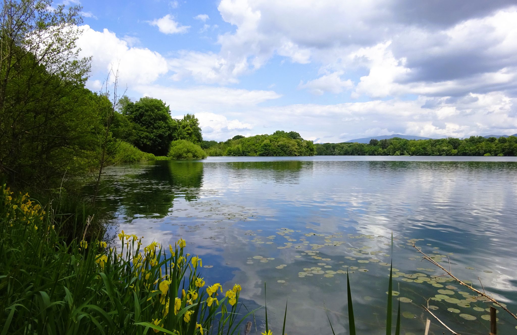 Opfinger Baggersee