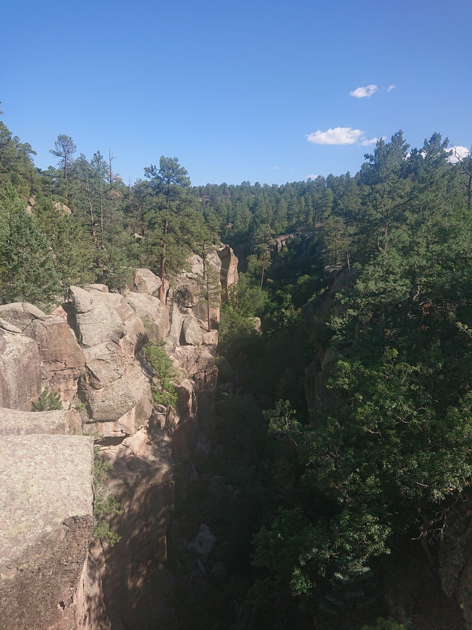 Looking down into a narrow, rocky canyon with dense green trees. - Bridges Loop