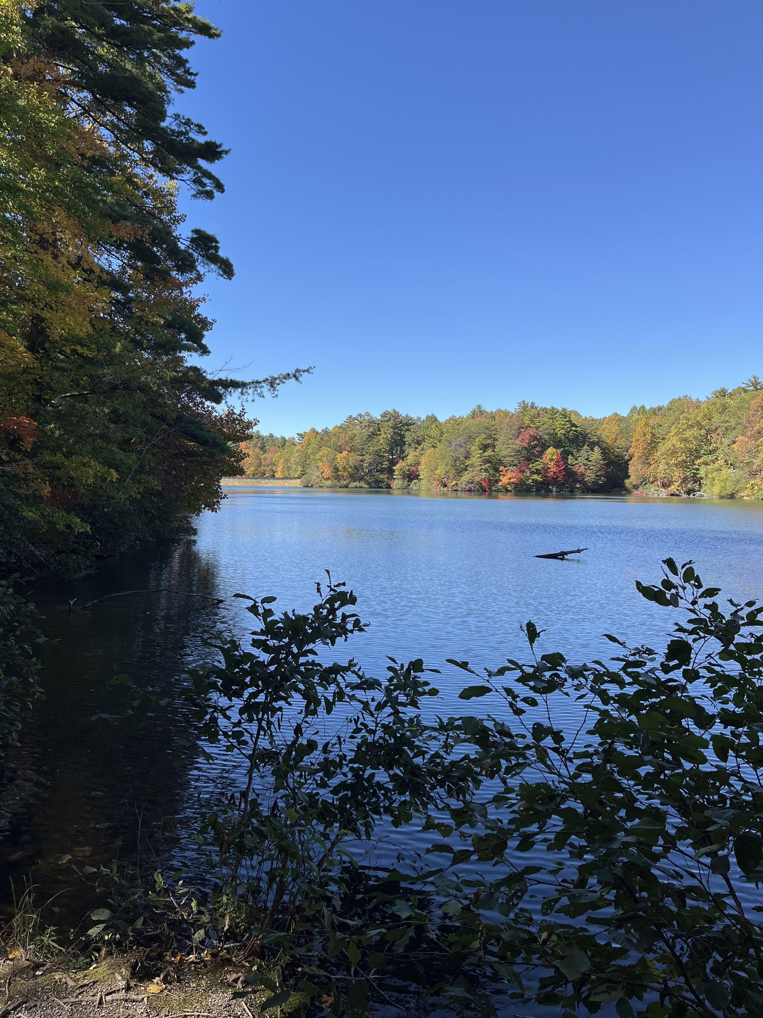 Serene lake surrounded by vibrant autumn trees under a clear blue sky. - Gahuti Trail