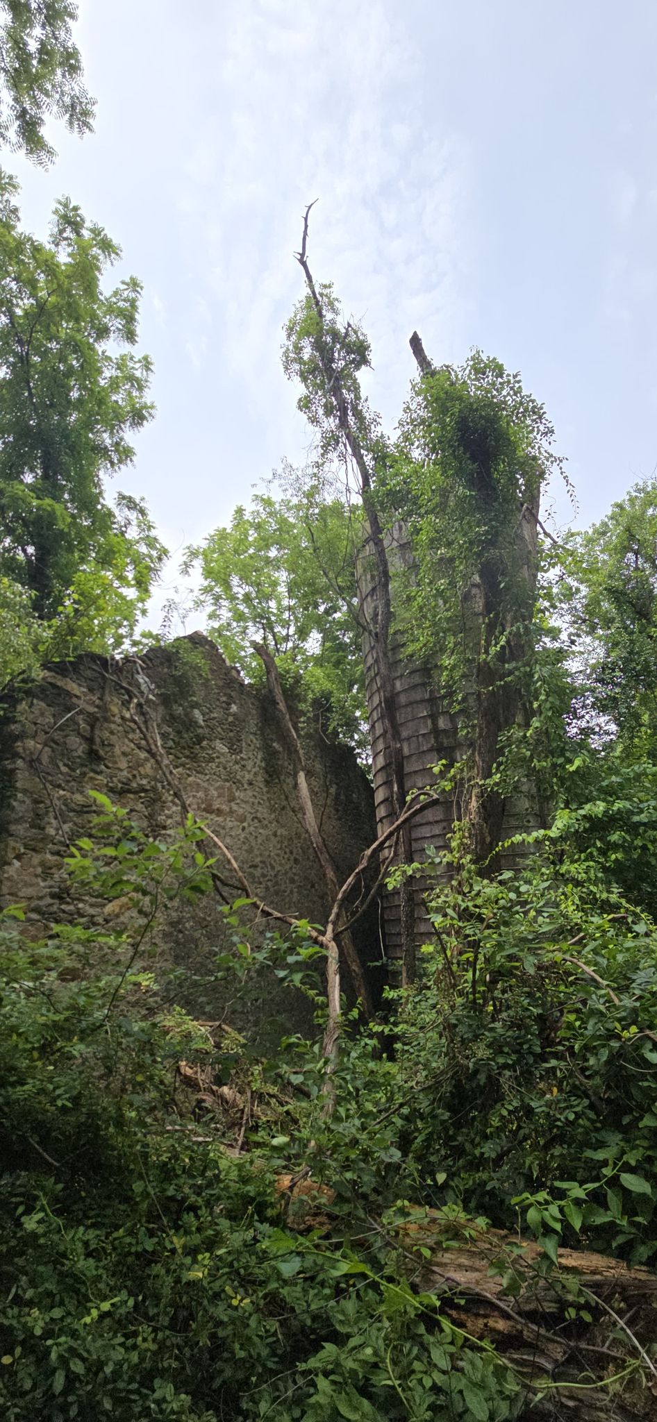 Overgrown stone ruins surrounded by dense green foliage under an overcast sky. - Orange and Green Trail Loop