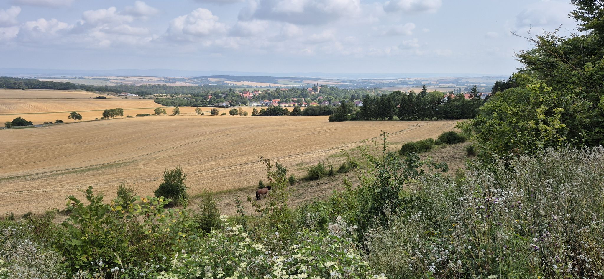 Blick zurück