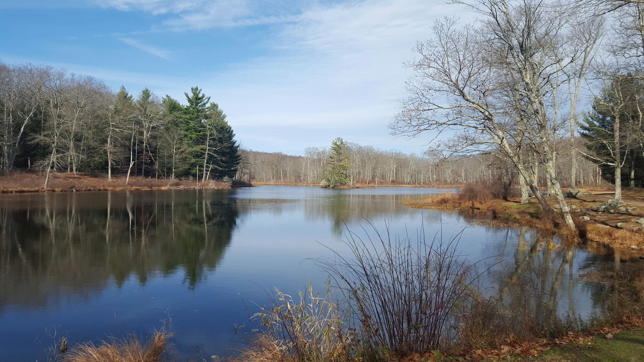 Calm lake reflecting bare and evergreen trees under a bright sky. - Pond and Outer Loop Trail