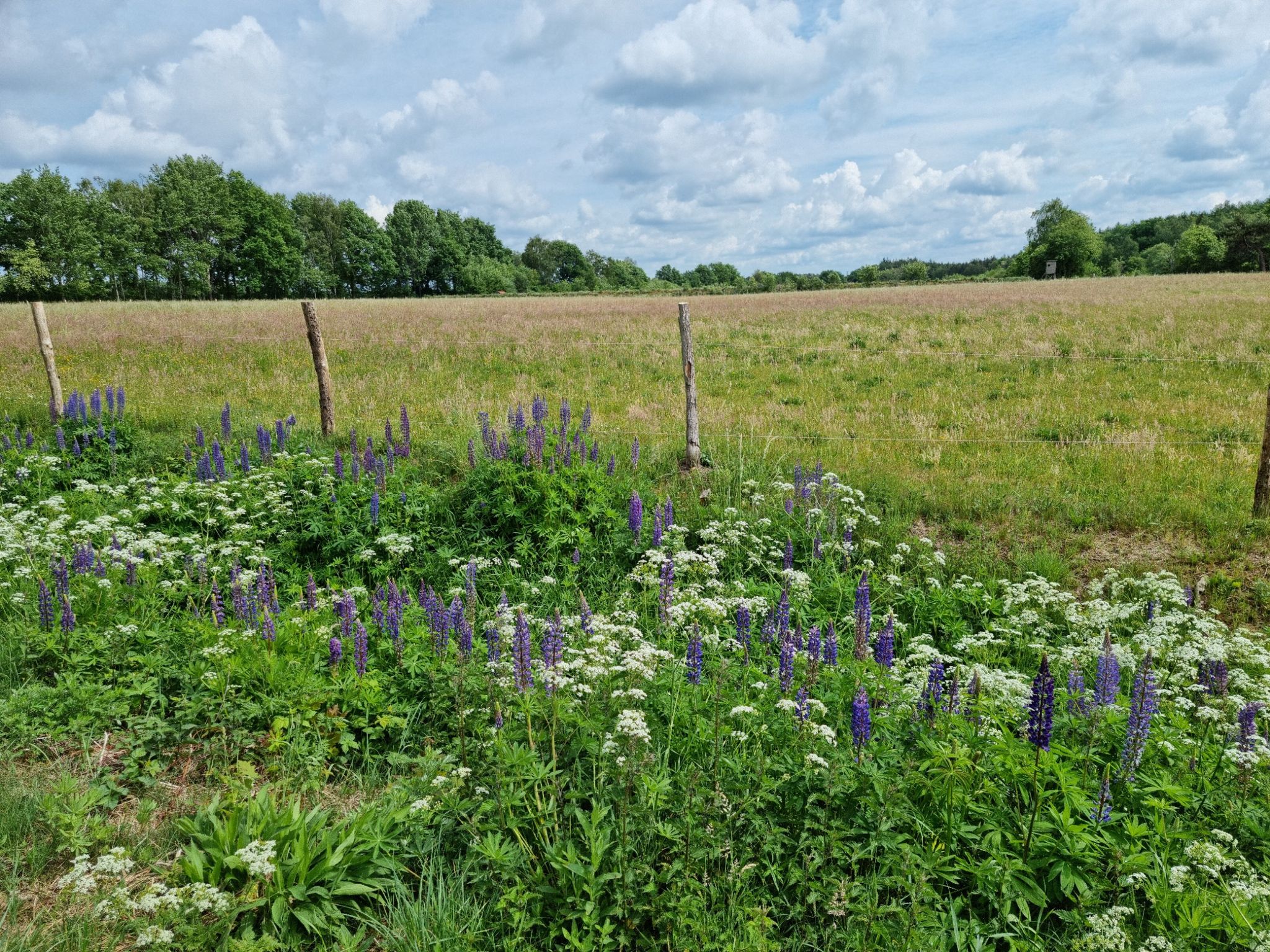 Weites, buntes Land