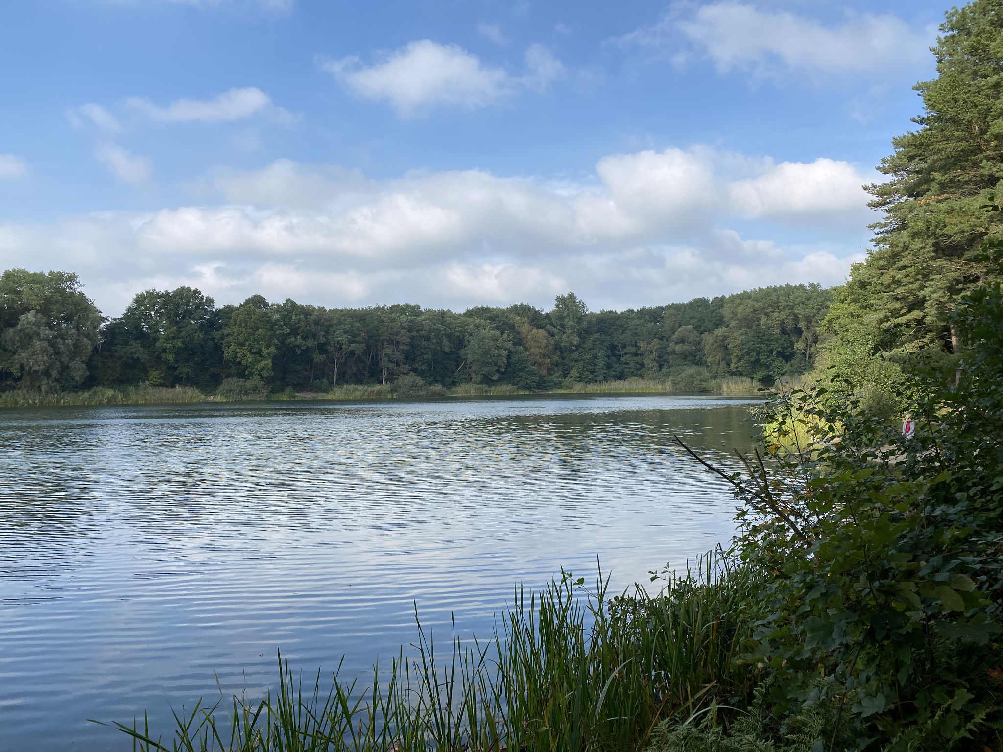 Wulsdorfer Baggerkuhle