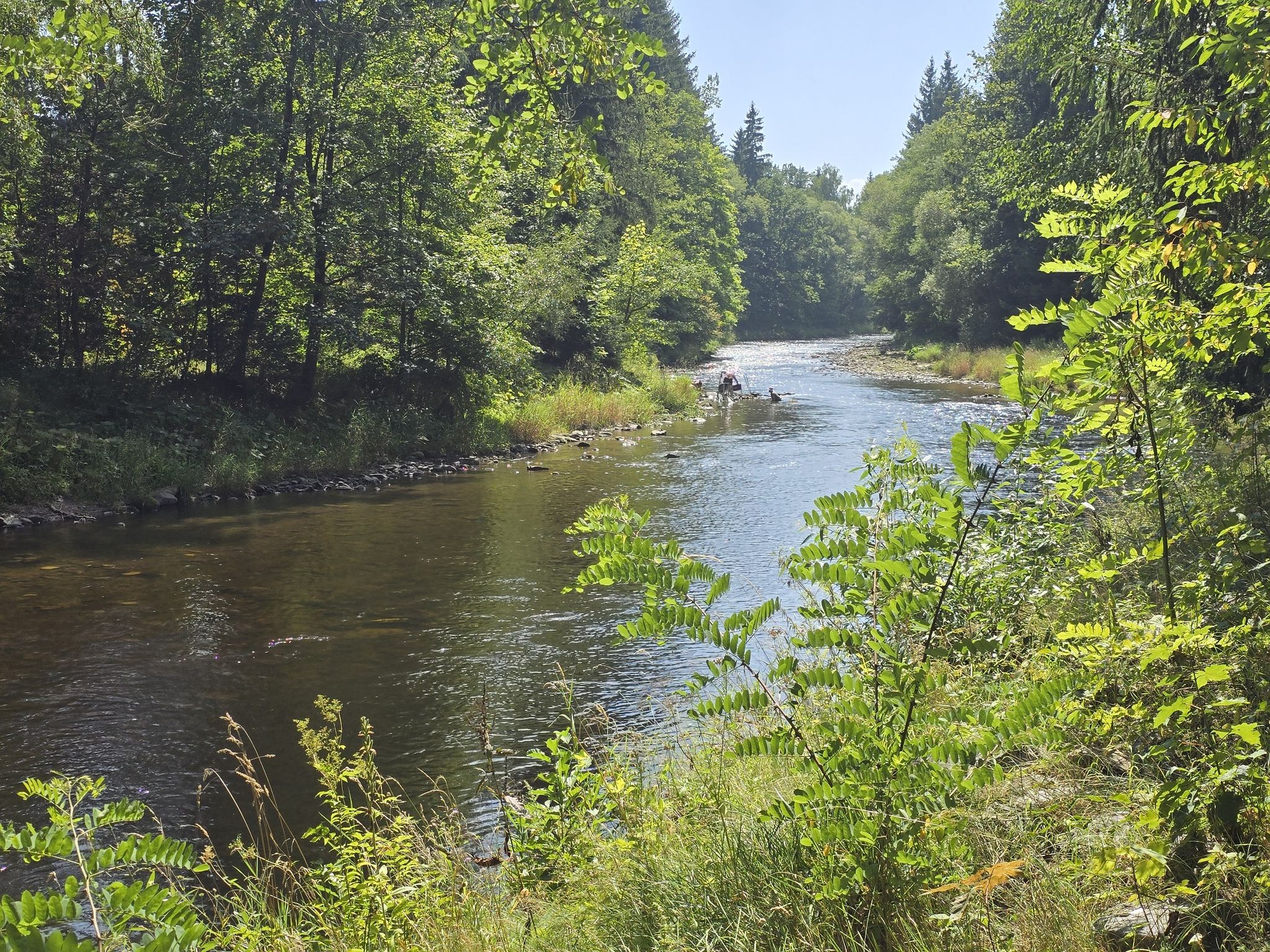 Fluß1