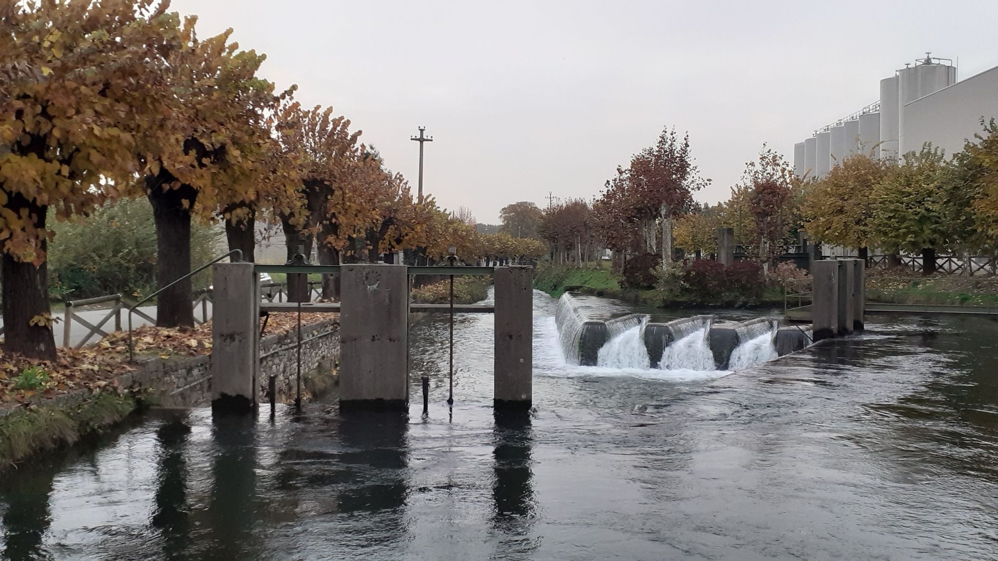Ponte dei PONTI