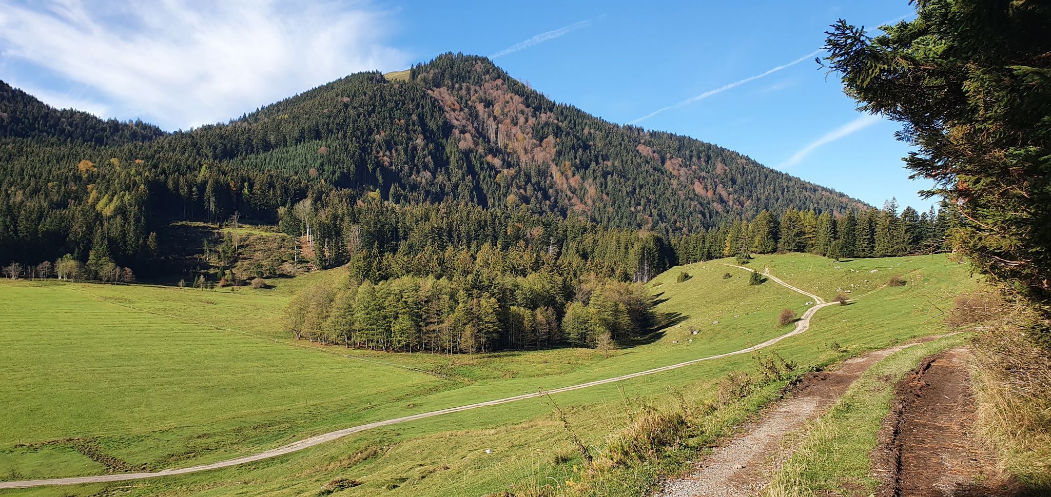 Huberwirt-Farrenpoint