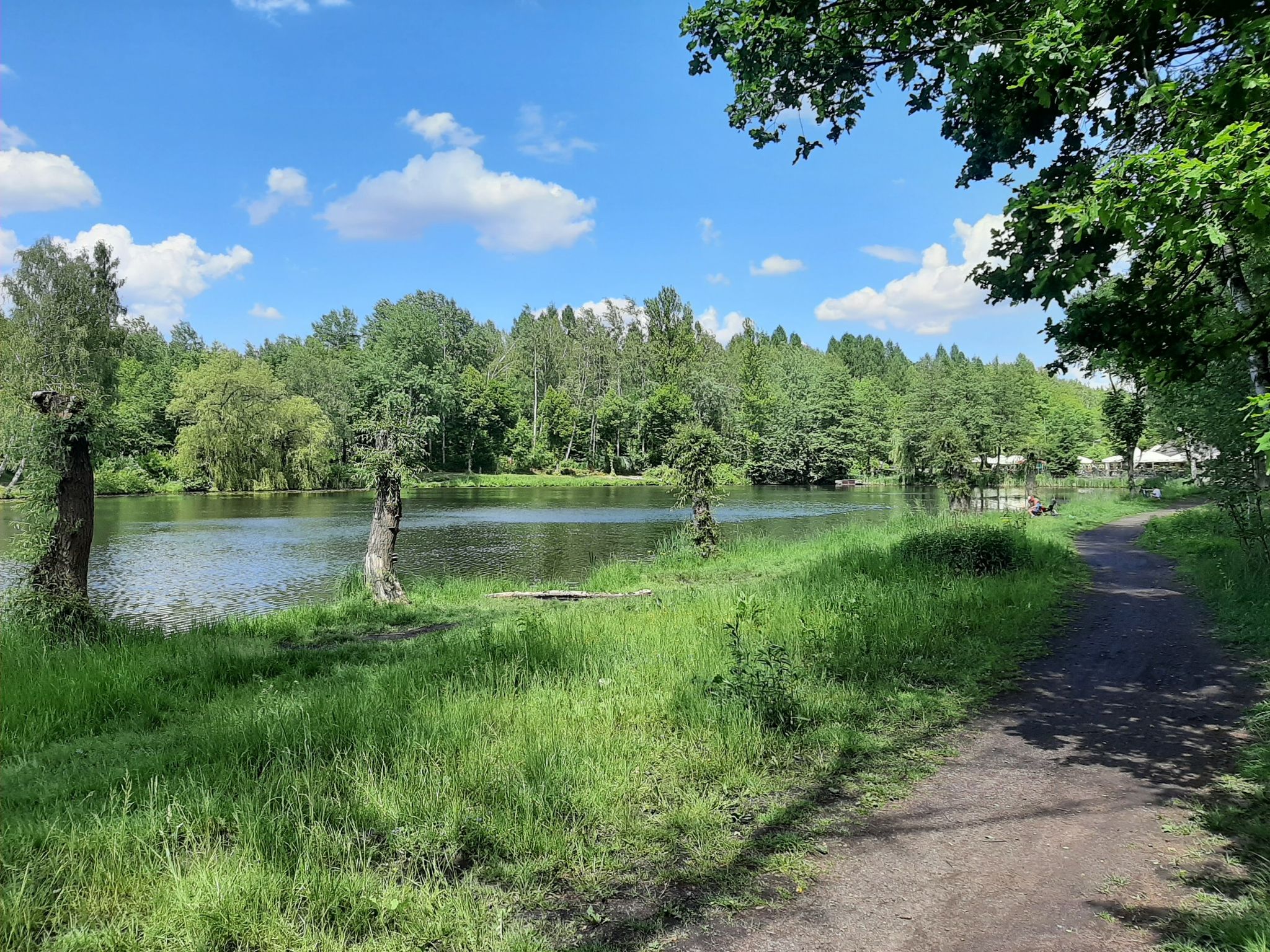 Staw Janina i "Rybaczówka"