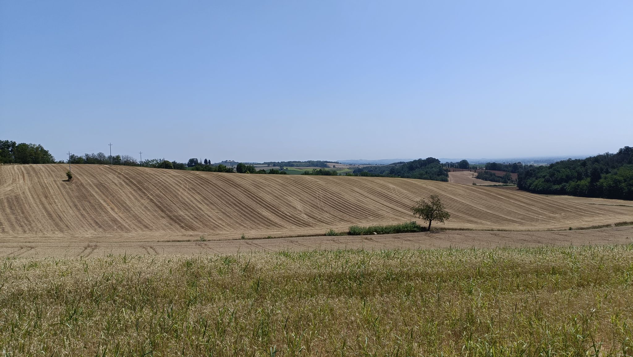 Paesaggio agricolo dopo Cuccaro Monferrato.