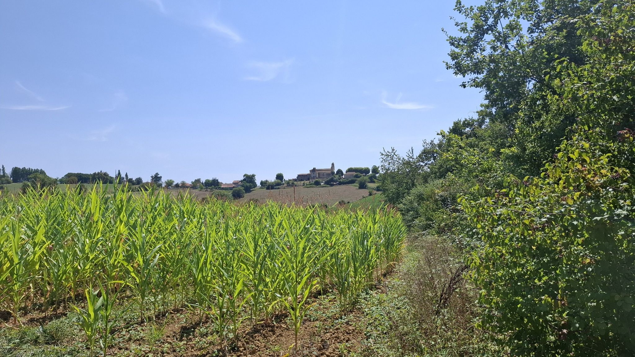 vue sur Pimbo