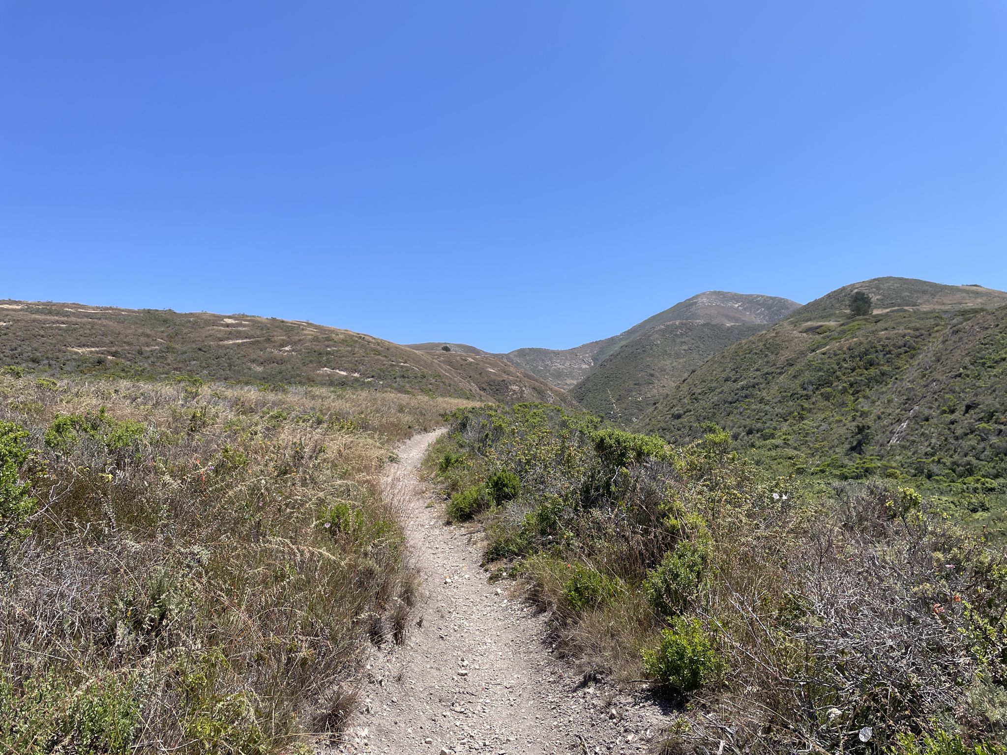 A dirt trail winds through sunlit, scrubby hills under a clear blue sky. - Valencia Peak Trail
