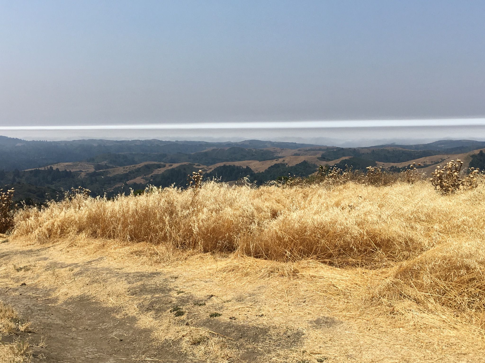 Golden dry grass in the foreground, rolling hills, and a hazy horizon. - Alpine Road, Sweet Springs, and Deer Path Loop