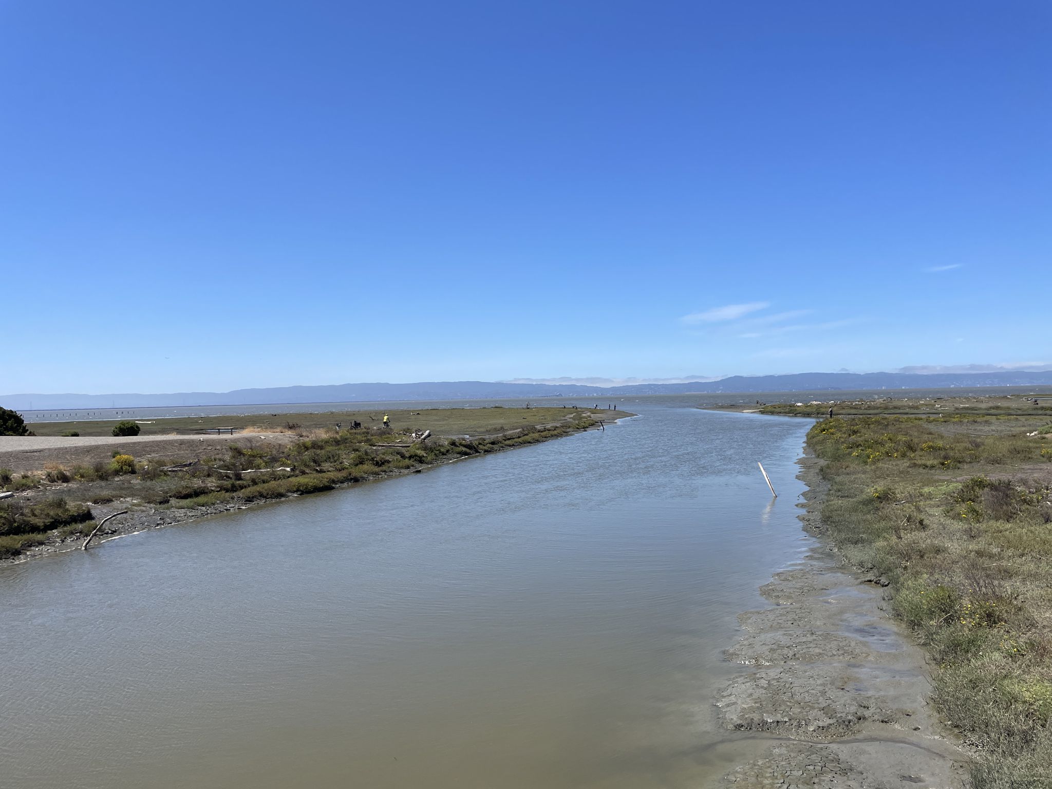 A wide waterway flows through marshland under a clear blue sky. - Heron Bay – Heron Bay loop from Hayward Regional Shoreline