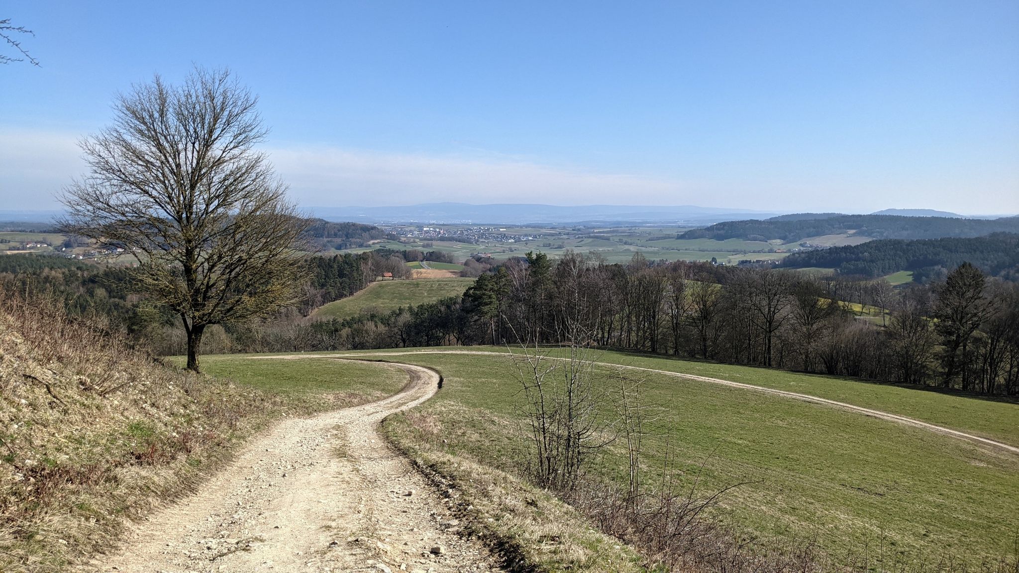 Blick von der Neubürg