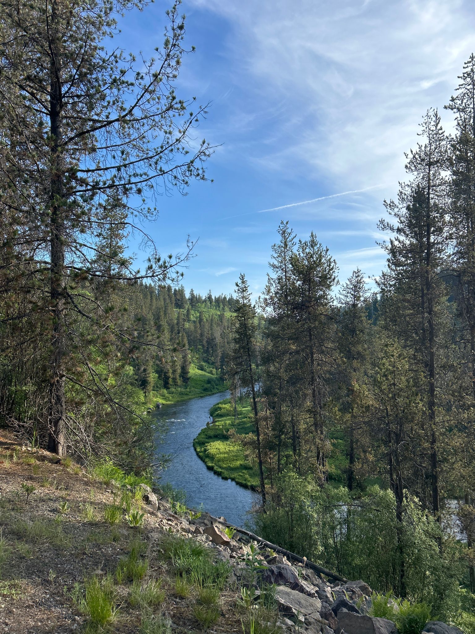 Winding river through a green forest valley, under a bright blue sky. - Tunnel on trail loop from Pit Toilet