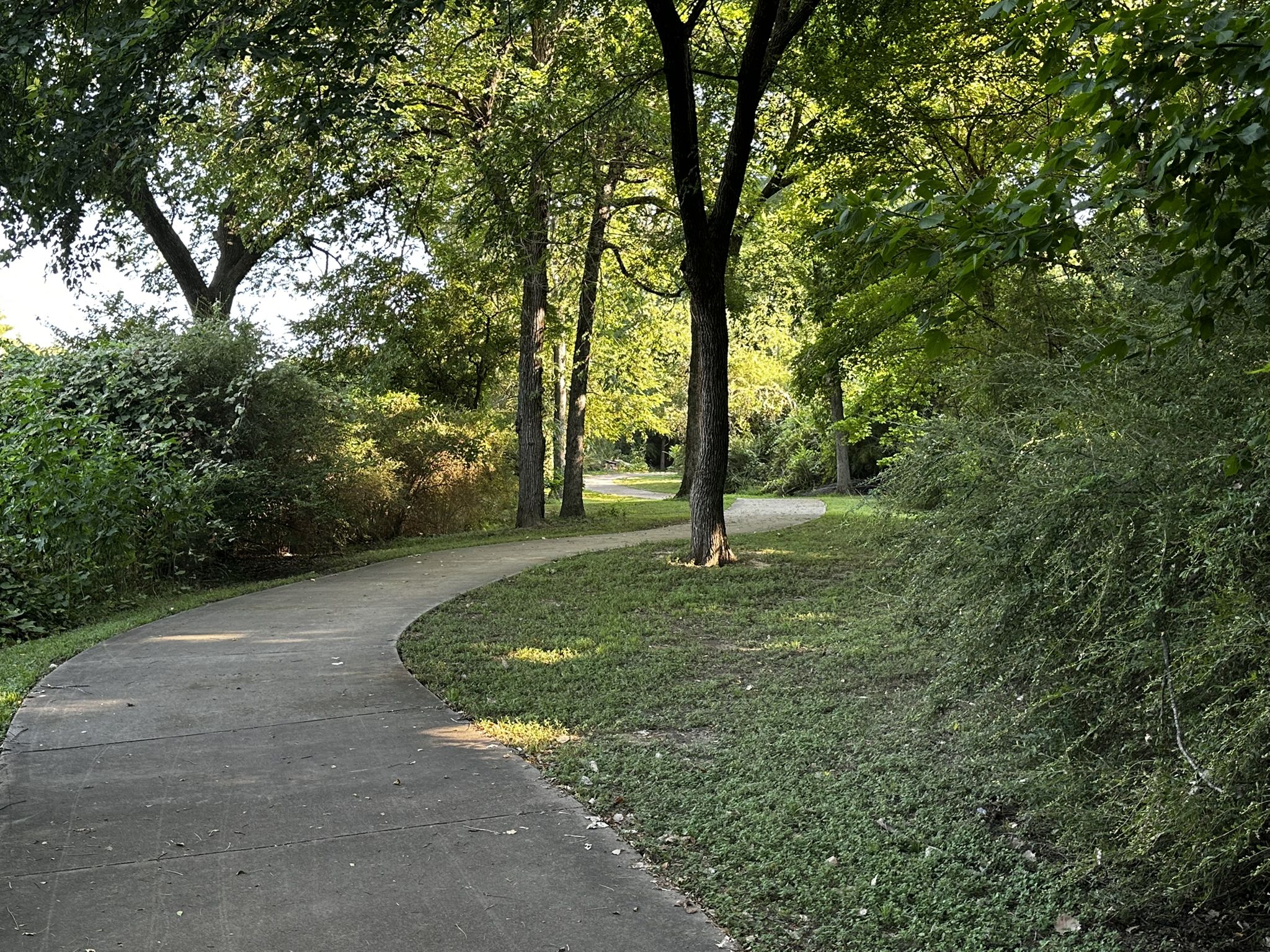 A winding paved path through a sunlit, green wooded area. - Gateway Park loop via Trinity Trail