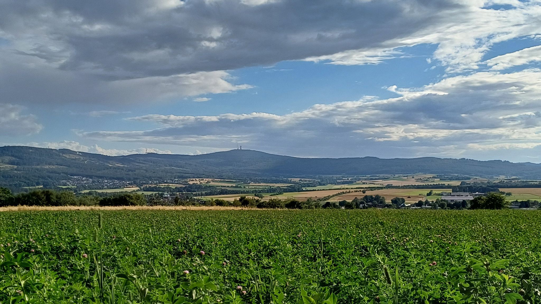 Blick auf den Großen Feldberg