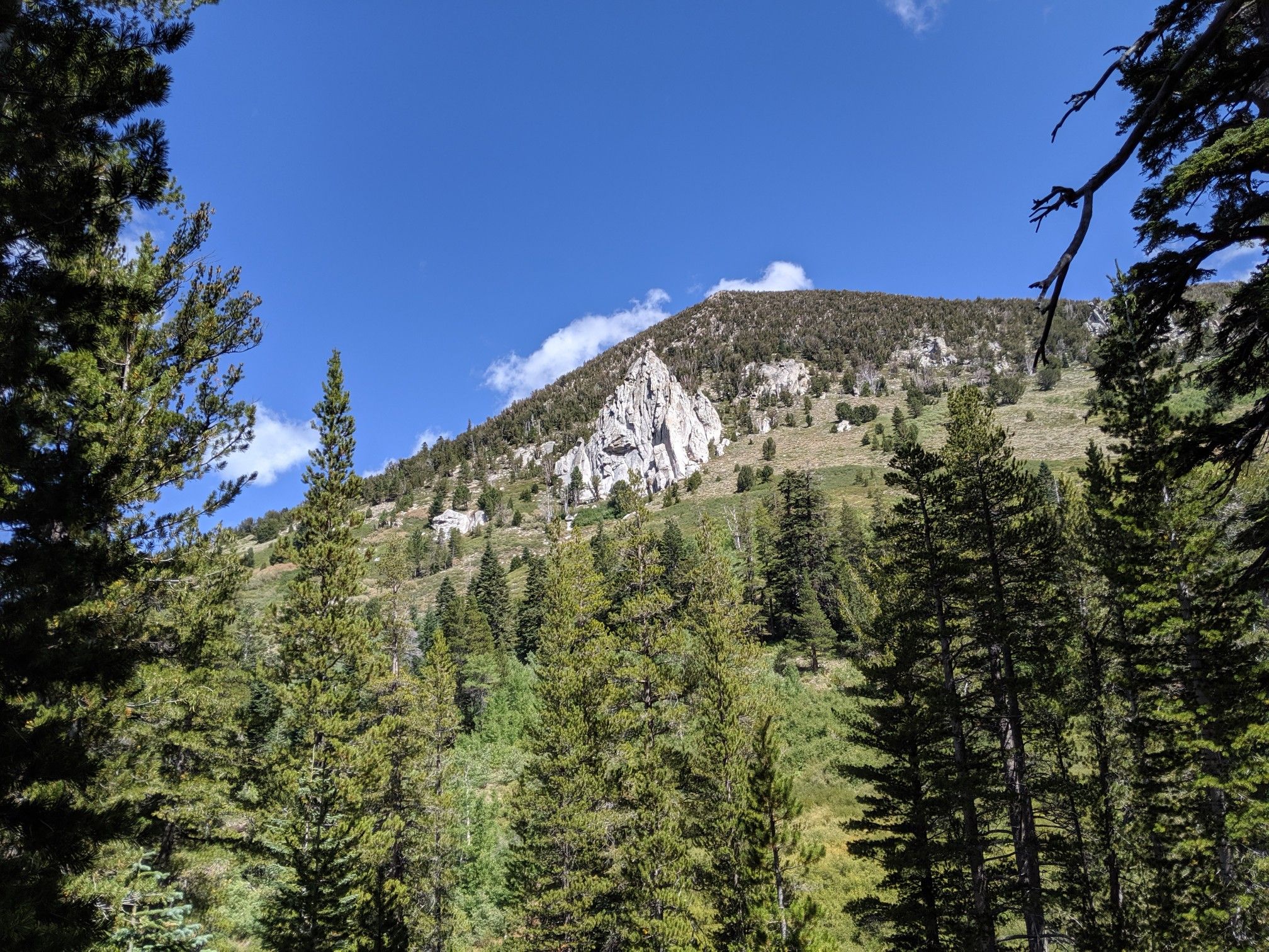 Majestic mountain with a prominent white rocky outcrop, surrounded by pine trees. - Armstrong Pass and Tahoe Rim Trail Loop