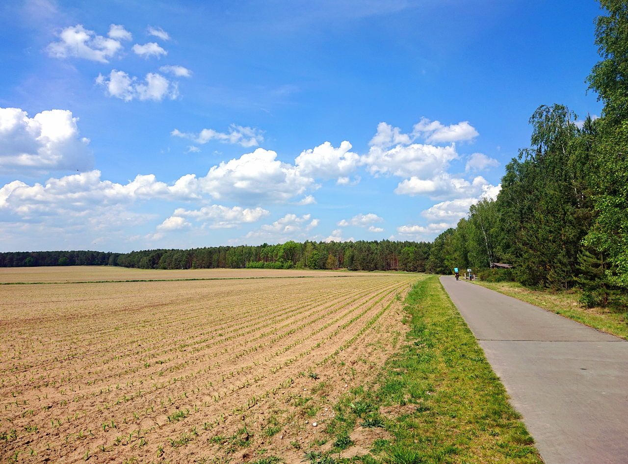 Flämingskate zwischen Markendorf und Werder