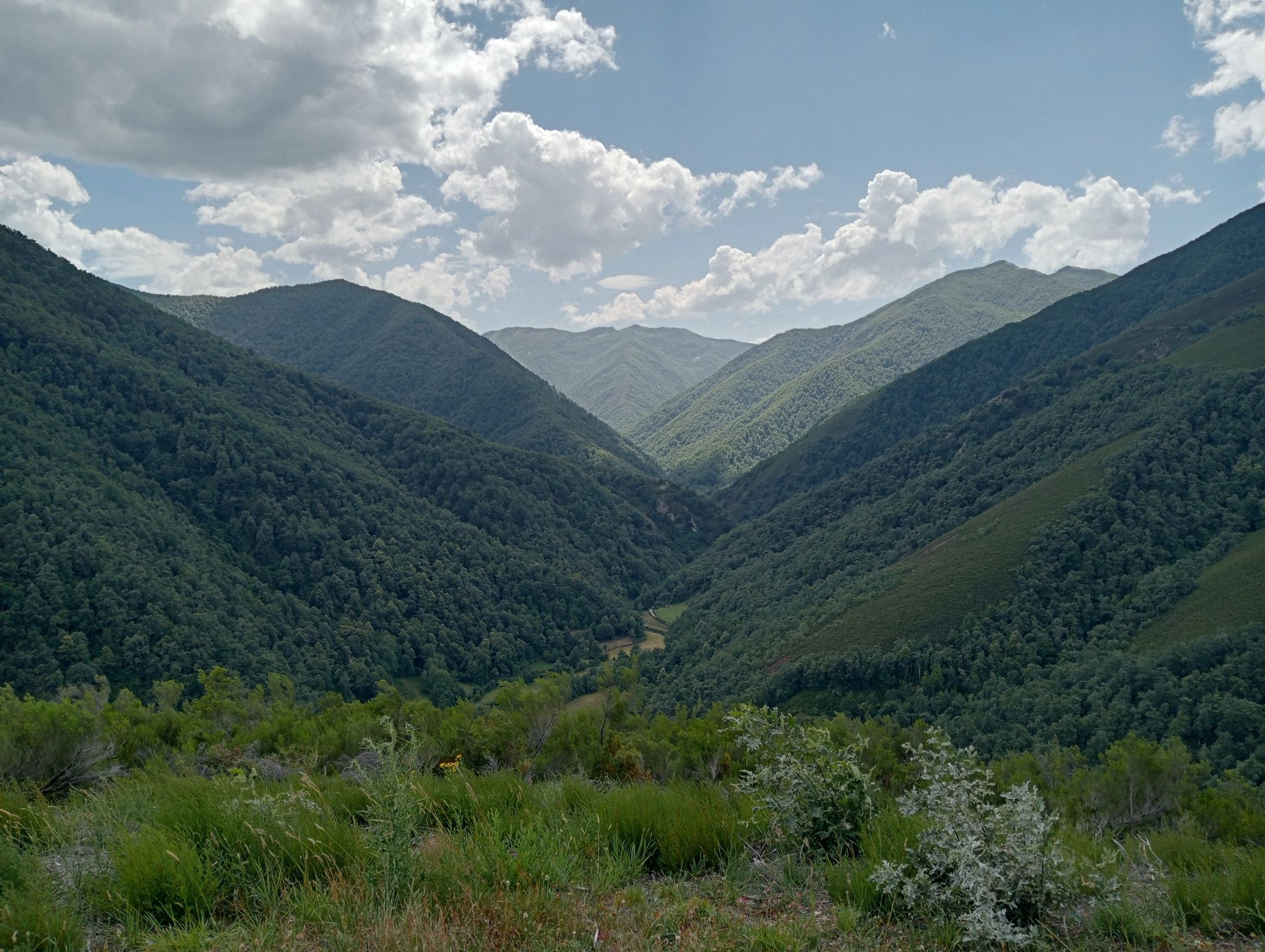muniellos